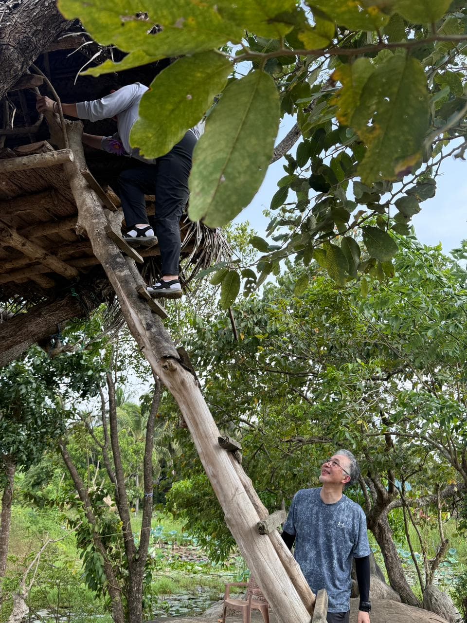 A traveller climbing up to a traditional stilted treehouse lookout